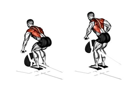 Bend Over Rows At T-bar