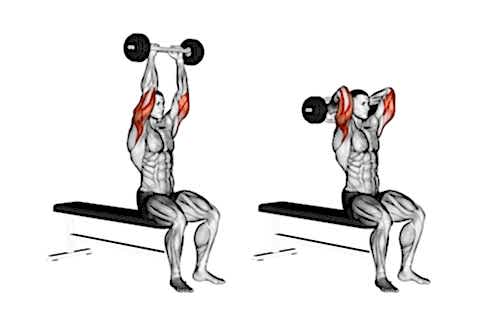 Overhead Tricep Presses (Seated)