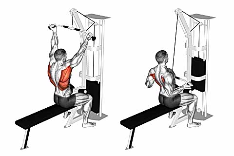 Reverse Grip Lat Pulldown