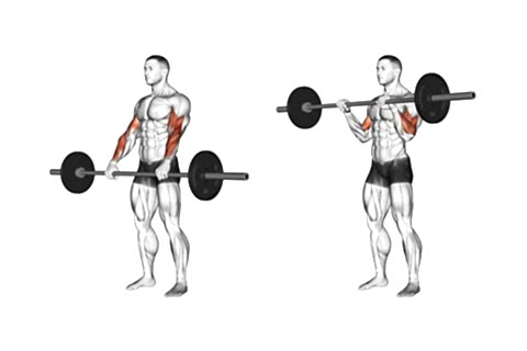 Standing Reverse Bar Curls